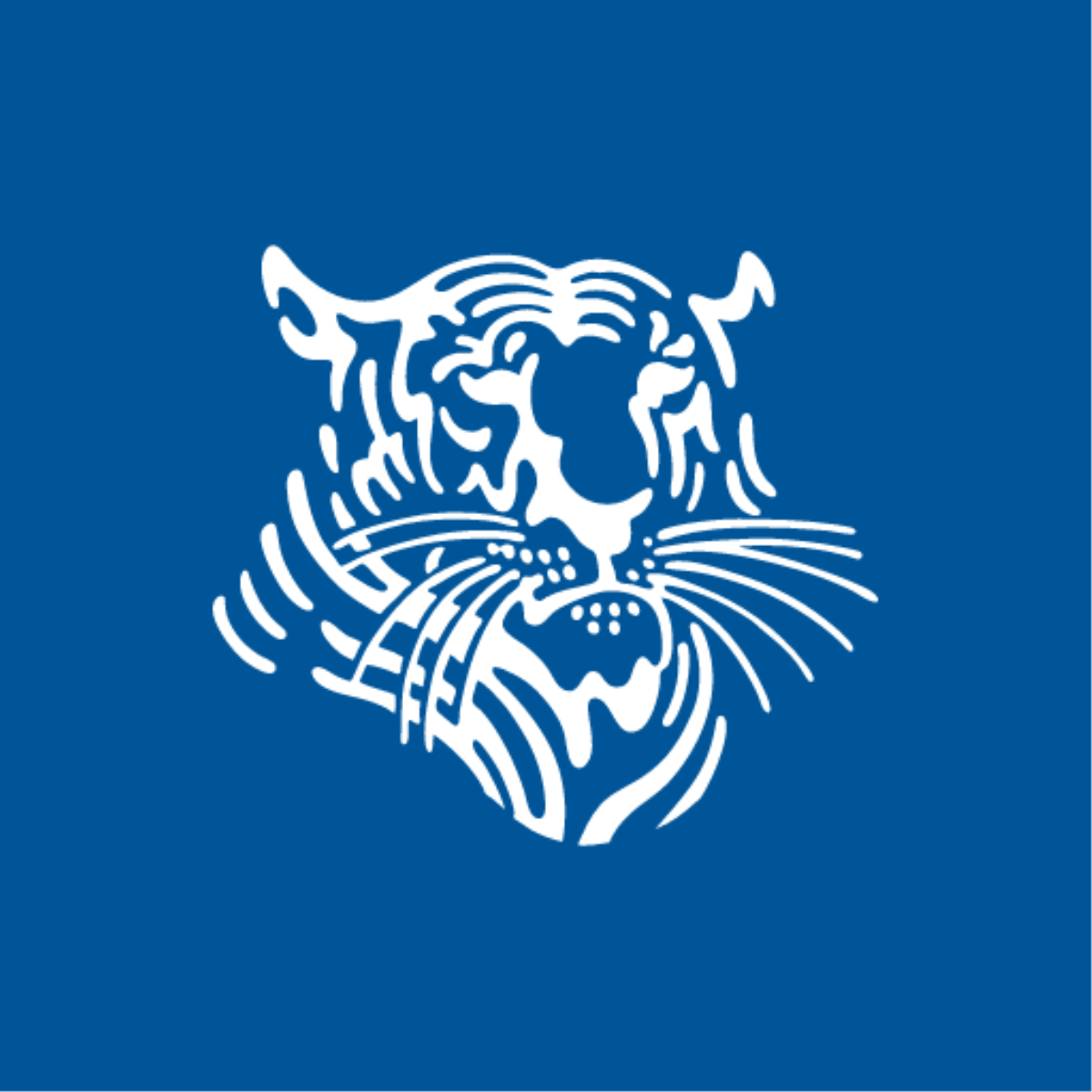 Town School for Boys logo